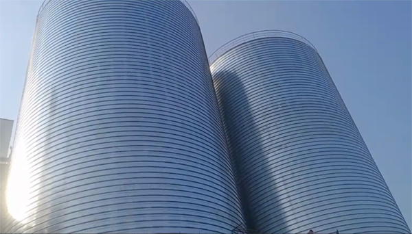 巍山2座混凝土高架卷板仓